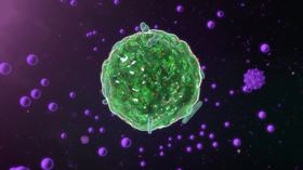 Mast Cell Diseases: Understanding the Spectrum of Disease, Signs, Symptoms and an Approach to Management