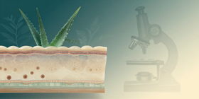 Foundations of Integrative Dermatology course image